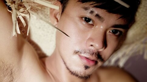 Chat With ZephTui Now